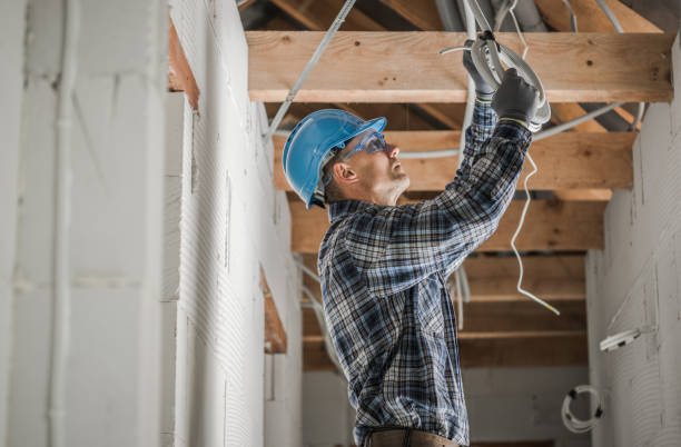 Best Local Electrician Companies  in Dayton, MN